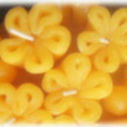 ส.สันจิตร