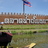 ampol