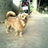 arunrat nongfon chatchinrat