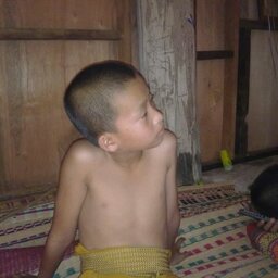 แมวซ่าส์