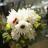 nooyhing