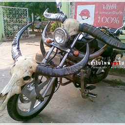 หนุ่มหน้ามน