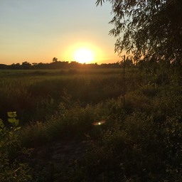 tuknarak