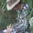 Park Ranger