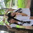 มู๋บิน