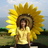 miss Powngsoy Chomchalarai