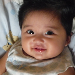 ลูกหมูอ้วน