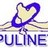 itpulinet