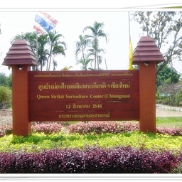 ศูนย์หม่อนไหมเฉลิมพระเกียรติฯ เชียงใหม่ 339 ม.12 ต.หนองควาย อ.หางดง จ.เชียงใหม่ 50230 โทร. 053-114096-8 โทรสาร. 053-114097 