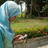 setsunnystar
