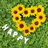 Pprep_Pr
