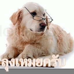 ลุงเหมย