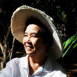 แม่ใหญ่