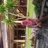 อิสรา  นวตักรรม 57