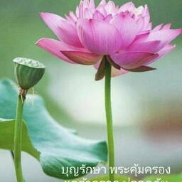 บูรพา