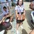 อรณัชชา อินทร์เกษม