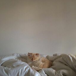 อรุณี ดอกมะลิ