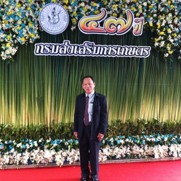 เขียวมรกต