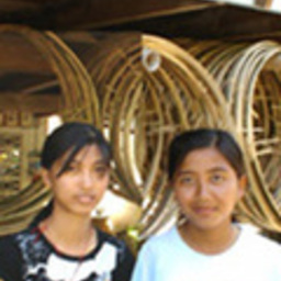 นางสาว ภารดี สุพลจิตต์