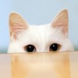 อินค่ะ