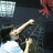 hellomoto