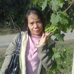 Nong Log