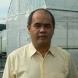 Adisai
