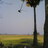 เสียงหัวเราะ
