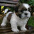 mixcher