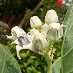 เสกสรร จันทรจำนง